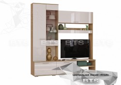 Центральная секция ЦС-01 «Флай» ТМ BTS