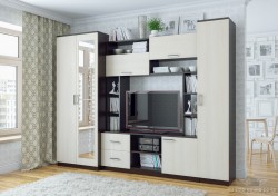 Гостиная «Гамма 16» ТМ SV-мебель