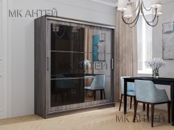 Шкаф-купе «Элегант» ТМ Антей
